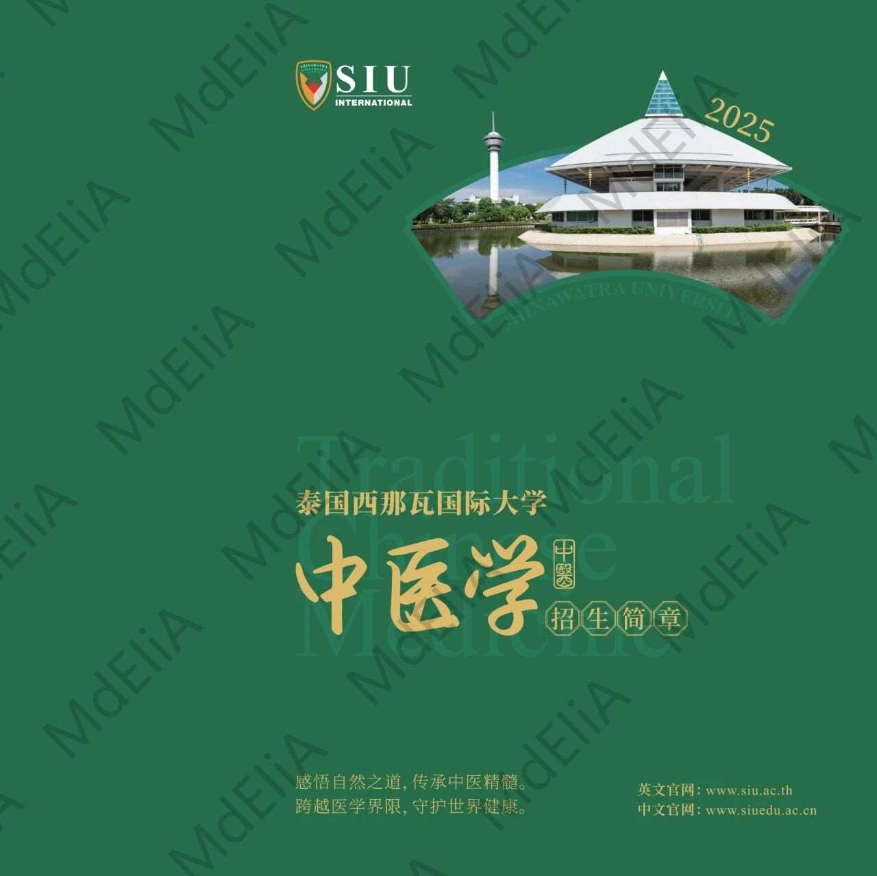 西那瓦中医学招简